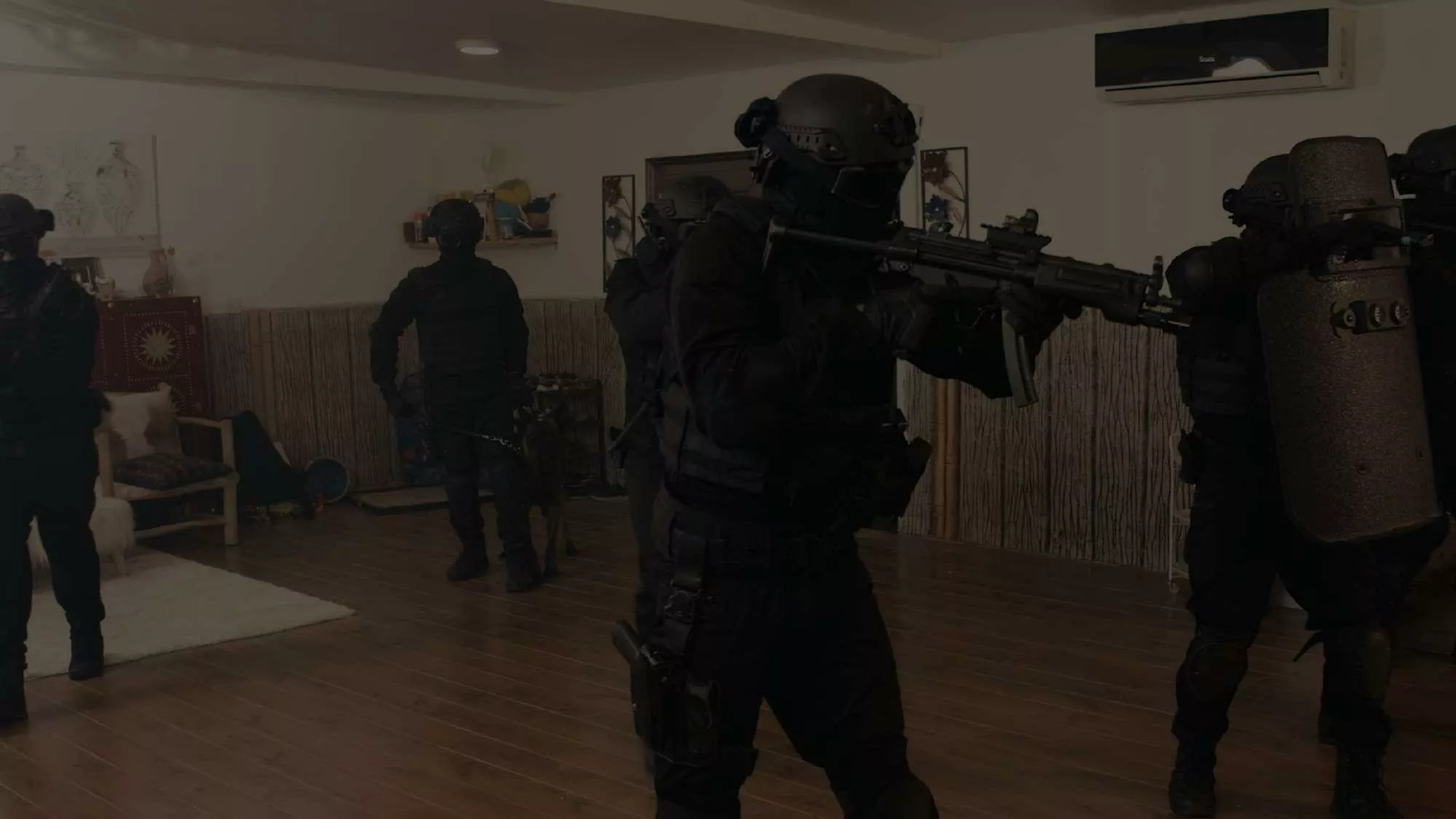 Expertise Background