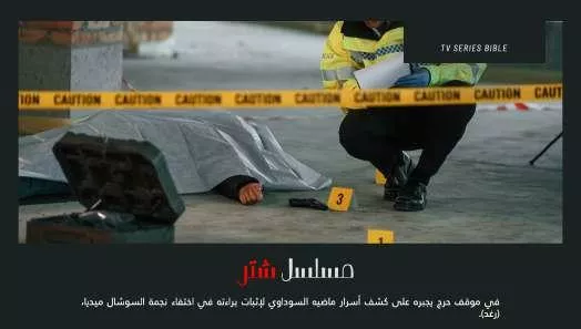 Crime investigation series